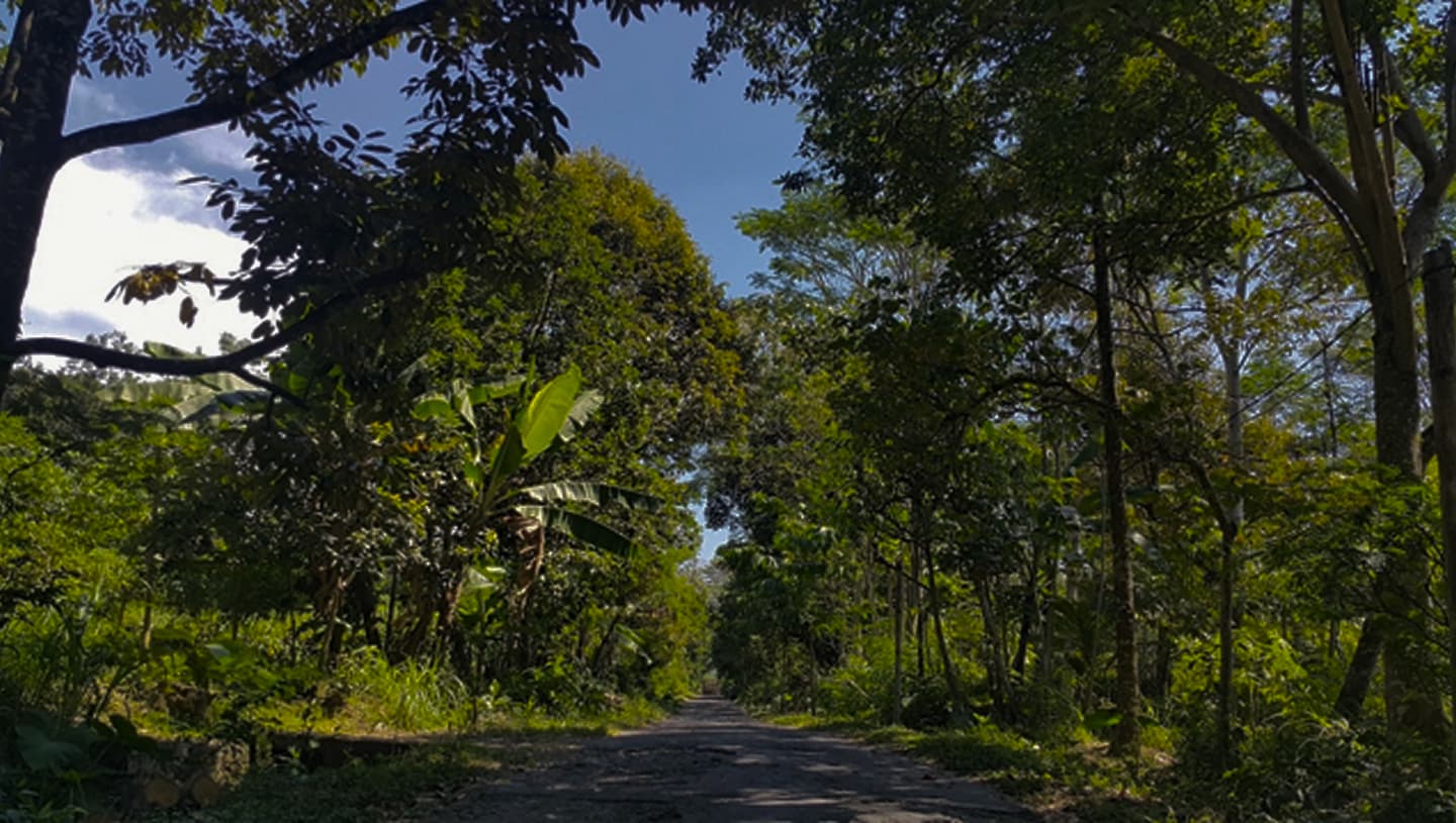 Gambar 1