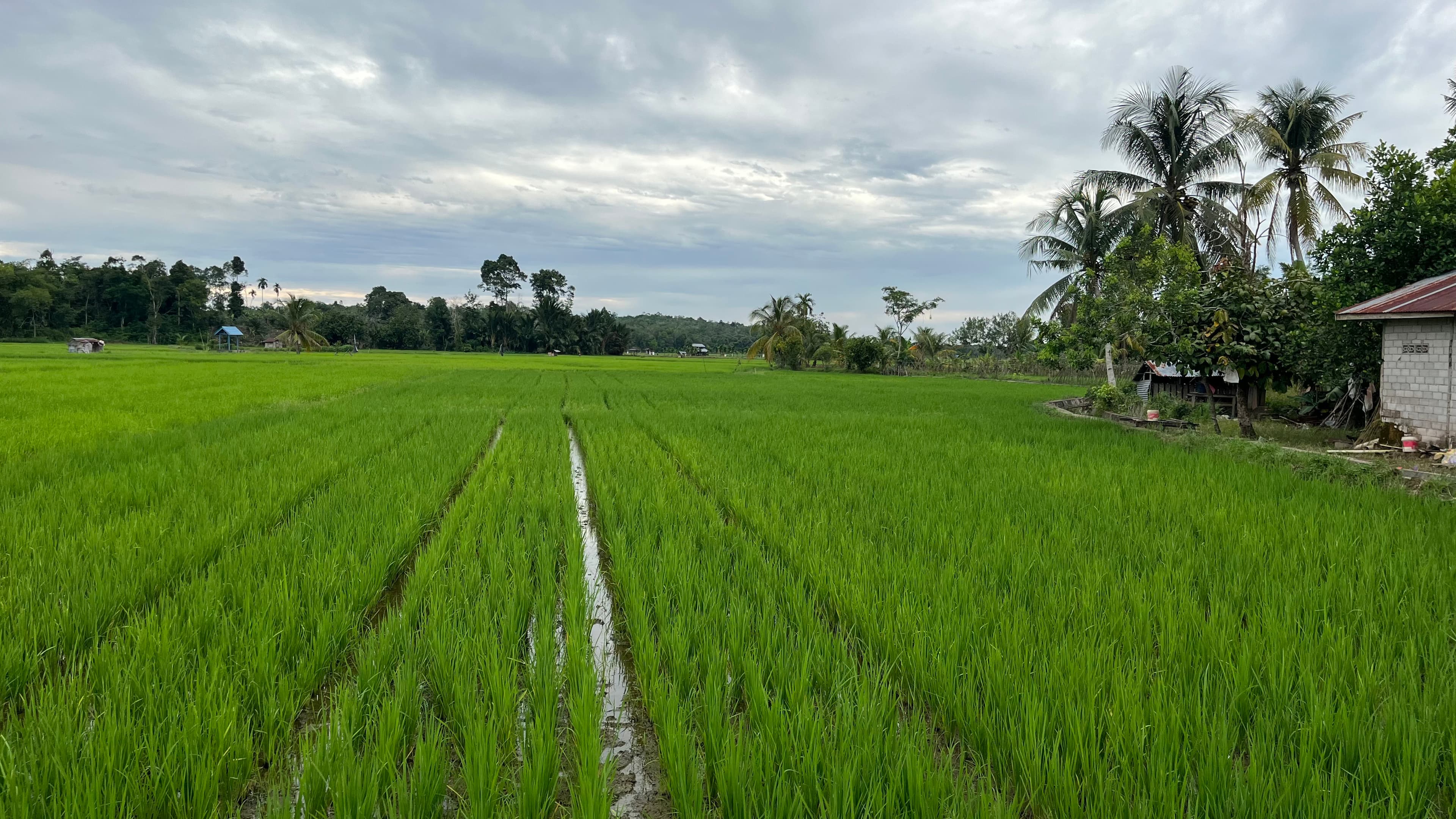 Gambar 1